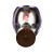 普达 防毒面具 MJ-4009全面罩配P-A-2（3号）滤毒罐 尘毒两用口罩 喷漆化工印刷