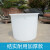 访客 塑料水塔【400L白色大号】水桶加厚储水桶储存水罐蓄水箱PE塑料搅拌桶化工桶豆腐缸