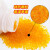 午励 干燥剂 变色硅胶颗粒干燥剂 实验室指示剂 除湿防潮干燥剂 橙色5瓶 