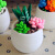 萨默斯超轻黏土盆栽植物花朵彩泥儿童手工材料盆栽黏土橡皮泥幼儿园子活 条纹（材料包）+塑料花盆+泡沫 +