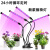 唄硶LED植物生长灯家用补光灯多肉灯植物夹子灯仿太阳全光谱植物灯 5头植物灯USB