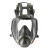 3M 防毒面具全面型防护面罩6800喷漆装修 防甲醛有毒气体化工有机蒸汽酸性气体 6800+6001
