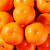云南沃柑 甜蜜柑橘桔子 新鲜水果有籽沃柑 7-8斤大果礼盒装