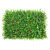 保罗岚芝 仿真草坪植物墙室内花园装饰尤加利假草皮绿植背景墙草坪塑料花 带花尤加利