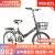 晳彩飞行dt风暴闪电自行车新款自行车折叠自行车男女超轻  16英寸 白色礼包铁框+免安装