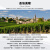 柏菲酒庄（Chateau Pavie）【法国名庄】圣埃美隆列级庄 柏菲古堡 干红葡萄酒 正牌2014年JS97分750ML*2瓶