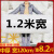 1.2米气泡膜全新料泡沫垫加厚泡泡纸垫卷装包装纸防震袋快递打包 中厚宽120cm长约50米重8. 薄款 宽50cm长约60米重1.6斤