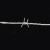 赫思迪格 HGJ-299 防盗刺 围栏刺绳 刺蒺藜隔离护栏防护网防爬刺 1.8mm×10m钢丝 刺距8cm