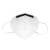 霍尼韦尔（Honeywell）KN95口罩 防尘口罩工业粉尘飞沫雾霾灰尘 折叠式 H910Plus 耳戴式 双片装 50只