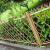 德威狮 不锈钢仿竹护栏  户外公园篱笆栅栏草坪园林绿化带防腐围栏公园景区竹节栏杆 绿色高40cm 单位：组