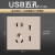 欧普 USB五孔 开关插座面板86型暗装W17睿智金系列定制
