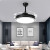 VVS隐形风扇吊灯家用一体吊灯客厅餐厅卧室北欧电扇 黑色直径107cm遥 接火线+零
