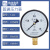 直销上海仪川仪表厂测水空调机油真空氧气压力表径向安装Y100 Y-100 4分/DN15