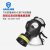 海固（HAI GU）防毒面具全面罩TPE防有机蒸气化工喷漆印刷有毒气体防粉尘面罩 700+二级E型3号