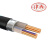 津西 铜芯铠装交联电力电缆（ZR/ZC）YJV22  4芯(单位：米) 4X10