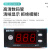 贝尔美 温度控制器 EW-181 温控仪 温控器 温控表定制