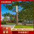 正翔ZX-TYD014-4室外市电3米简约大气别墅庭院景观灯D款