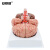 安赛瑞 人体器官模型 人体大脑模型 脑结构脑血管神经科脑模型医学教学培训 大脑9部件解剖模型 601411