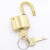 沸耐笙 FNS-24334 电力表箱锁加油站油罐黄铜锁 30mm通开一锁一钥匙短梁 1把