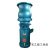 定制适用大流量低扬程灌溉水泵 200QSH8寸潜水泵 漂浮潜水轴流泵 300QSH-10-37