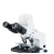 亚速旺（AS ONE） C2-2625-11 生物显微镜用灯管6V/20W （1支）