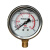 空压机工业级喷漆气泵配件开关压力表磁力保护器安全阀球阀泄水阀 径向充油压力表(0-1.6mpa)