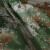 久臻 108 绿色防水防汛反光套装男女高速路政道路公路巡逻分体雨衣雨裤 XL码（175）