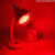 实验加热化验室科研250/375W耐热测试烘干燥烤灯飞利浦 飞利浦 250W（红光）灯泡+ 100-300W