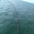 富朗海洋科技 FULANG FL 固体浮子式橡胶围油栏 型号WGJ1000 一米价