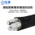 沈津 ZR-YJLV22-0.6/1KV-3*120+1*70mm² 国标铝芯铠装阻燃电力电缆 1米