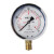 定制适用抗震表耐振油压表 指针防震YN-100防震0-1.6气压油液压 0-0.16MPA