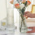 CZSAE简约现代欧式创意玻璃花瓶透明水养插花玫瑰百合富贵竹餐桌摆件 锥桶/竖纹小号(透明)