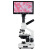 SEEPACK西派克 专业高清光学生物显微镜检测仪7寸屏500万像素+可连显示器XSP2160配铝箱