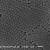 单分散二氧化硅纳米微球 （0.05-200微米） 20微米 2.5% 20毫升25mg/ml