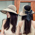 防晒帽子女夏季韩版海边户外出游大檐公主防护卷卷遮阳太阳空顶帽 双色灰色 可调节