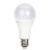 LED低压灯泡 36V 白光 12W