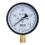 压力表y100消防水管测水压0-1.6mpa自来水水压暖气管道检测压 0-2.5mpa(25公斤压力)