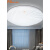 佛山照明LED吸顶灯卧室客厅吸顶灯灯具圆形走廊阳台小吸顶灯 25w紫百合(直径38厘米)