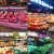 新国标led生鲜灯 水果店市场专用灯鲜肉超市灯鲜蔬菜轨道射灯 白色外壳水果专用5500K 新国标9 20W