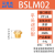亚德客气动电磁阀铜消声器平头节流消音器BESL/BSL M5-01-02-03-4 BSLM02 平头消声器