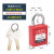 褚岳 工业安全挂锁塑料锁个人电力锁生命锁工程设备检修挂牌上锁具 SQ-CG25(不通开) 