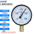 上海仪川仪表 径向负压真空压力表Y100 水压油压气压表 0-1.6MPa 压力真空表Y100 -0.1-0.06MPa