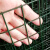 祥利恒荷兰网 铁丝网围栏 防护网护栏网隔离网 养鸡网养殖网建筑网栅栏 2米*30米 20kg