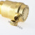 博雷奇铜平口自动暖气排气阀 管道水管放气阀 平口排气阀 DN25 1寸(10个)