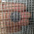304不锈钢电焊网片防鼠网钢丝围栏窗户防护焊接网筛网防盗网 丝1.5mm/孔18mm/1X1米