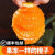 宜昌秭归伦晚脐橙10斤整箱当季现摘新鲜甜橙子果冻橙柑橘大中水果 12个装高档礼盒