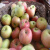 皓谦精选国光苹果新鲜水果小国光酸甜脆农产品特产 净果20斤 100年老树