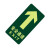 江波J285夜光地贴 荧光安全出口 疏散标识指示牌 方向指示牌 （直行安全通道 ）6张起