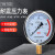仪表不锈钢耐震压力表yn100油压液压表1.6mpa带油气压表 0-6MPA=60公斤 M20*1.5