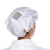 共泰 防静电厨师帽 工作帽 GT-CSM1 透气网 白色 均码 10顶/件